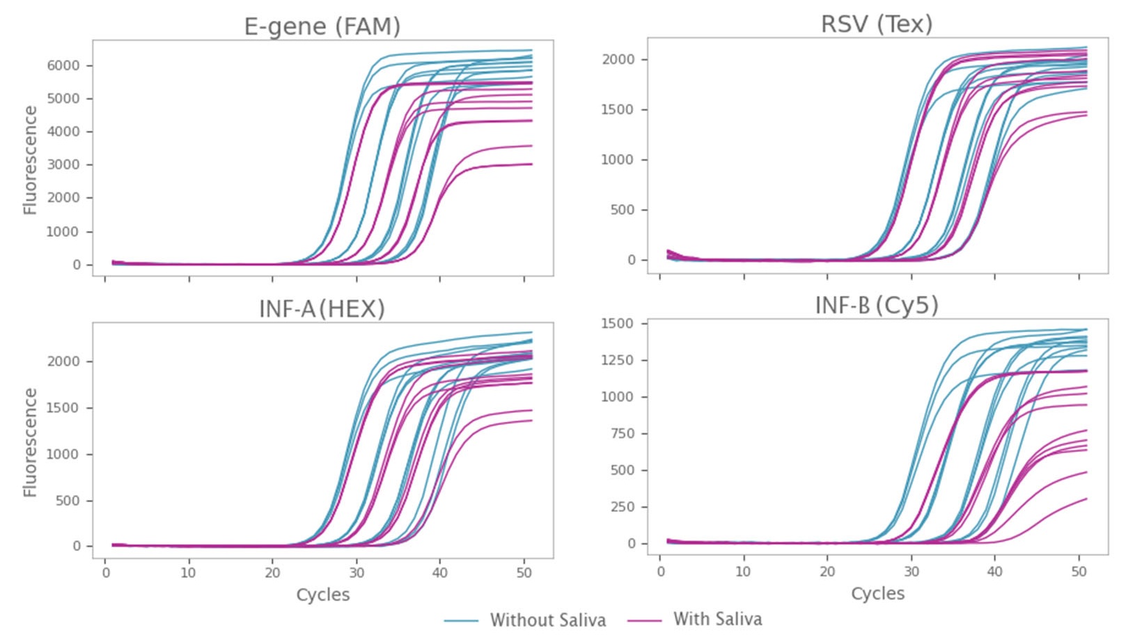 唾液の有無による 4 重 RT-qPCR 検出結果