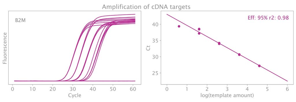 マウス cDNA によるシングルプレックス感度