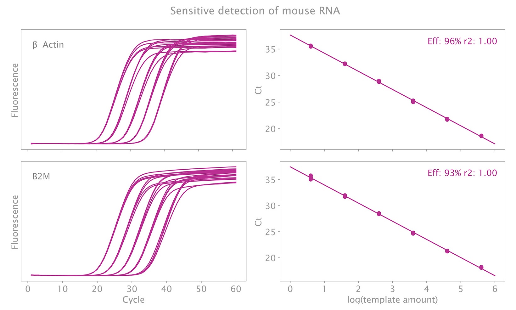 シングルプレックス反応におけるマウス RNA の高感度検出
