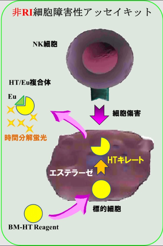 N-SPC 測定原理