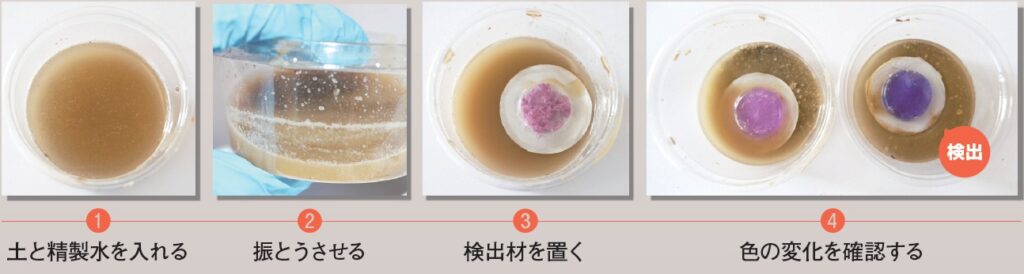 OCTESの測定対象
