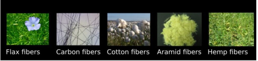 FiberShape 計測例