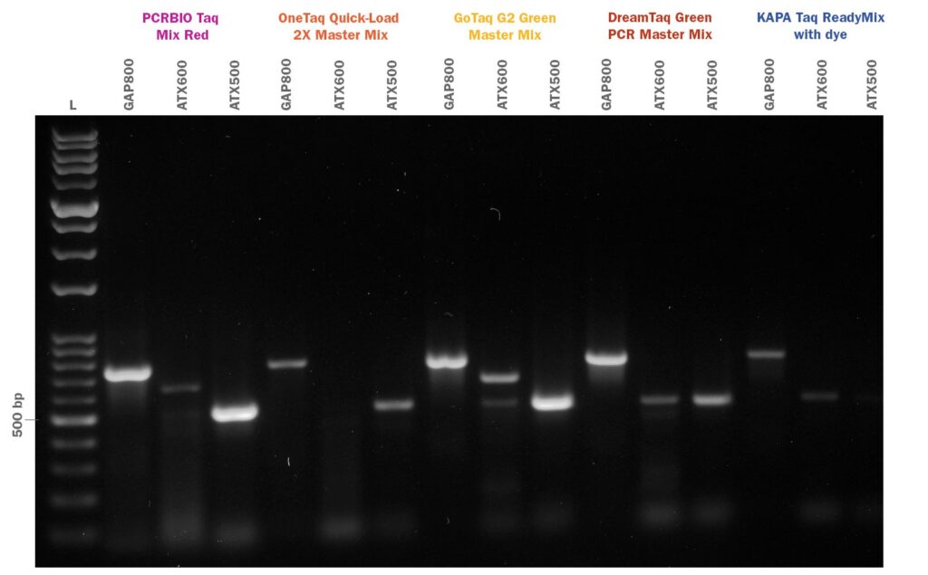 PCRBIO Taq Mix Red 競合比較（GCリッチフラグメント）